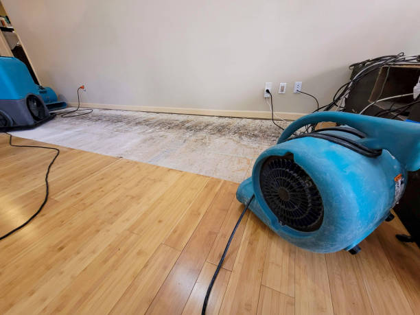 Professional Emergency Water Damage technician working in North Truro, MA